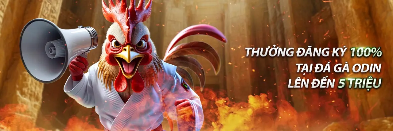 Khuyến mãi hoàn trả và thưởng nạp lại hàng tuần tại vn666 đăng nhập