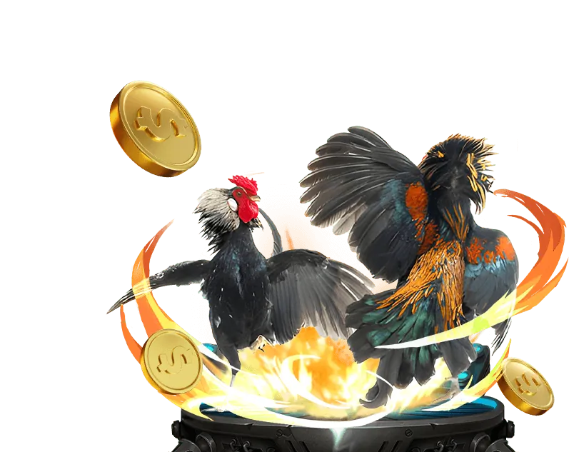 Các trận đá gà trực tuyến hấp dẫn tại vn666 đăng nhập