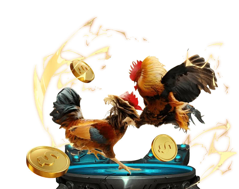 Đội ngũ VN666 làm việc vì tầm nhìn và sứ mệnh